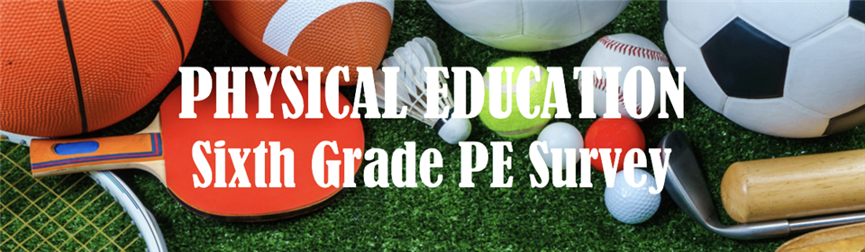 PE Survey